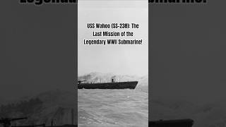 USS Wahoo (SS-238): The Last Mission of the Legendary WWII Submarine!
