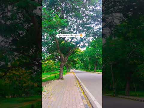 Mysore #love #song #music    always #.     fvt spot####  can't forget ###### plc#####