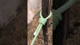 How To Tie A Rope Around The Tree 🌲