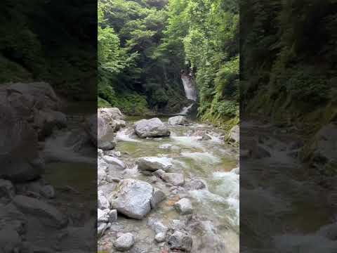 Ojirakawa Canyon water stream #八ヶ岳 #尾白川渓谷