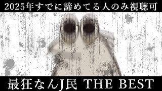【超総集編SP】最狂なんJ民 THE BEST 。2025年すでに諦めてる人専用動画【2ch面白いスレ】【ゆっくり解説】【作業用】