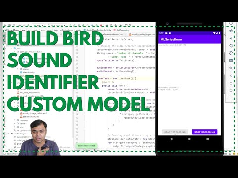 Building the custom bird sound identifier TF lite model