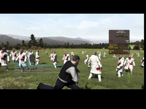 ArmA2 Cheat