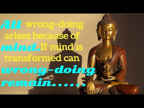 Powerful Buddha Quotes #buddha #powerfulmotivation #motivational