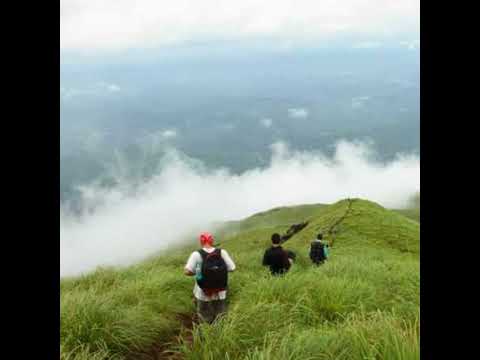 Yathrakal Quote | യാത്രകൾ