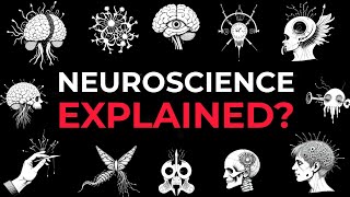 1 Hour of Practical Neuroscience Explained to fall Asleep to 