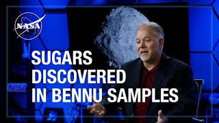Bio-Essential Sugars Discovered in Samples from Asteroid Bennu