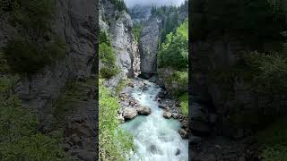 A Journey Through Nature's Beauty  #shortstravel #swissalps  #naturebeauty   #traveltheworld #shorts