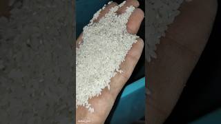 Jeera Rice Best quality - 800kg h #ricemill #farmer #farming #machine #youtubeshorts #shorts #rice