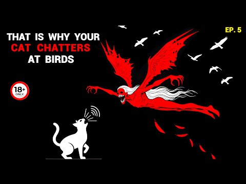 If Your Cat Starts Chattering At Birds... It’s Already Too Late - Analog Horror