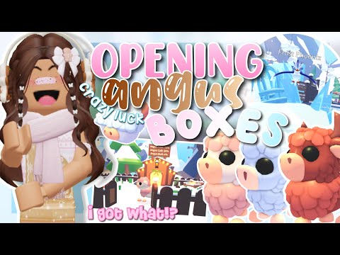 OPENING ANGUS BOXES… OMG 🎀☃️