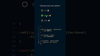 custom radio button html css