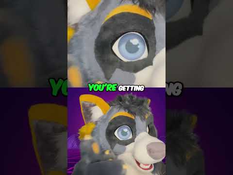 Why construction is so slow in the USA