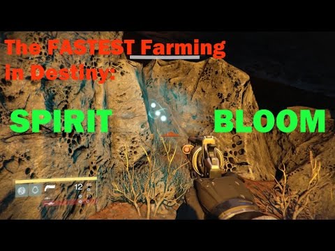 Destiny Venus Chest Run - FASTEST Chest & Spirit Bloom Farm Run - 130+ Spirit Bloom/Hr