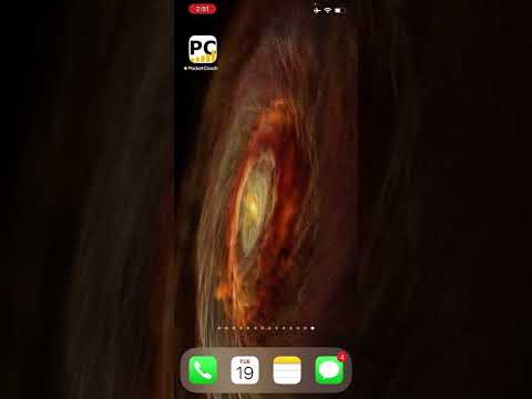 Pocket Coach v2 User’s Guide