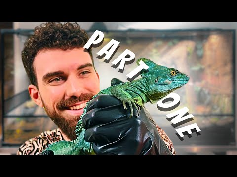 🌿XXL BASILISK PALUDARIUM | ASSEMBLING TANK & BACKGROUND | PART ONE | TERRAQUAMAN