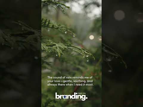Branding Org