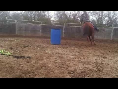 Round pen playing