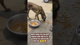 बच्चे का पूरा गाल सूज गया था और दर्द में बच्चा कुछ खा भी नहीं पा रहा था। अब बिल्कुल ठीक हो चुका है।🙏