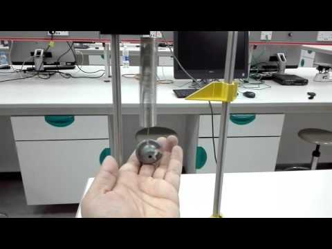 Hooke's law Experiment (Quick Review)