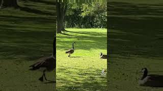 Walking to Class at the University of Waterloo