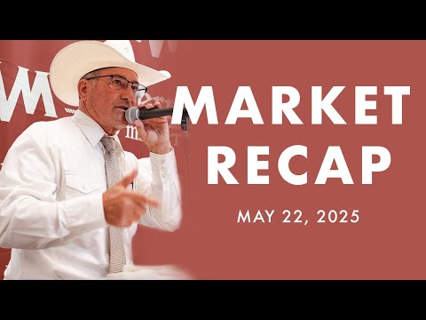 Western Video Market Recap - May 22, 2025