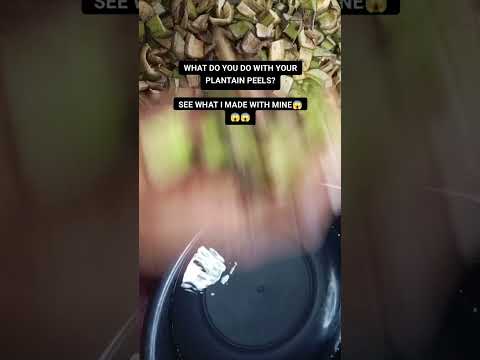 😱😱SEE WHAT WAS MADE OUT OF THIS PLANTAIN PEELS #plantainPeels #Plantain #waste2wealth #healthyfood