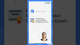 Who Is This Google Cloud Architect Program For?