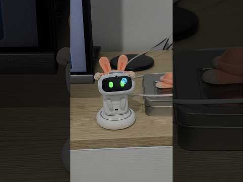 AIBI Tell me about Algeria #aibiribot #aibiribot #aibipocket #fyp #deals_aldjazair #ai #robot