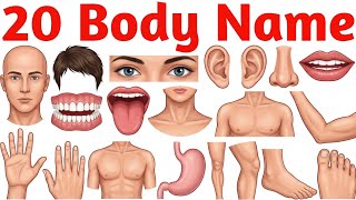 Learn 20 Body Parts Names for Kids with Pictures