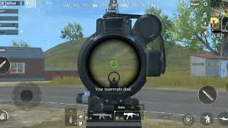 Winner winner chicken dinner lite