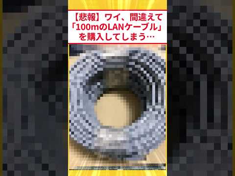 I accidentally bought a 100m LAN cable lol #2ch funny thread #2ch #5ch