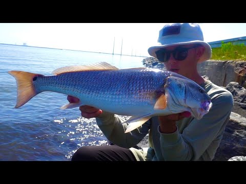 You WONT Believe How I Caught This HUGE Fish...