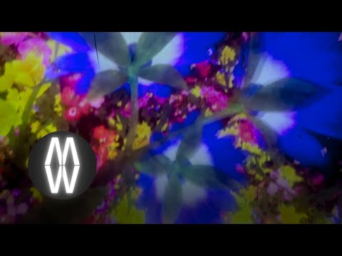 Psychedelic Planetarium | Falling Flower Universe – teamLab Tokyo