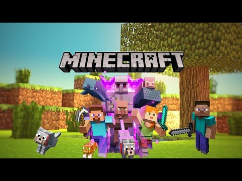 Bedrock to java ep 1