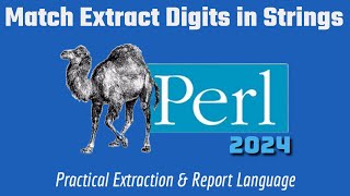 Perl Programming: Regex Match Extract Numbers In Strings Project 2024