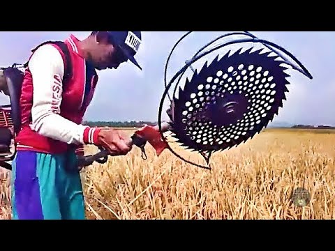 Smart Farming | Meet the Craziest Agriculture Inventions Ever!