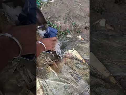 OnePlus Nord Ce3 Lite 5g Phone Ka Water 💦 Test second video