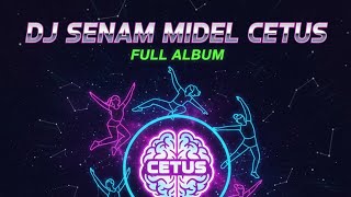 DJ SENAM MIDDLE CETUS CLARITY_COCOK_BUAT BAHAN CEK SOUNDMU BOLO