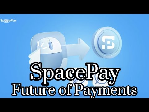 SpacePay: The Future of Payments (Bigger Than Visa?