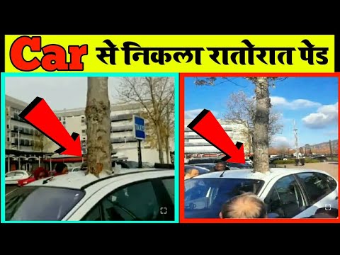Car से निकला रातोरात पेड #shorts || Viral Video रातोरात कार से निकला पेड #Facts || Mr Chandan Facts
