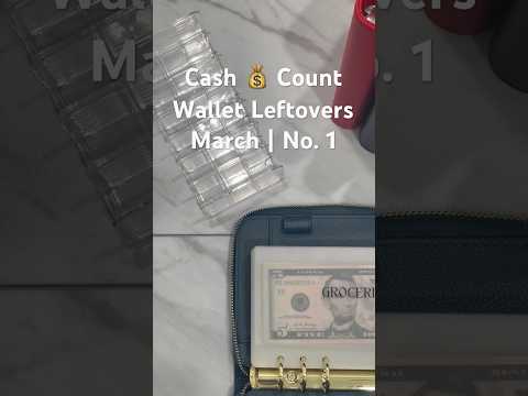 Leftover Wallet Money | March No. 1 #cashstuffing #cashenvelopestuffing #cashenvelopes #budget