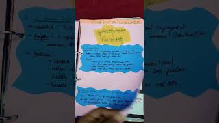 EMPLOYMENT INFORMALISATION Economics project #myfirstproject #schoolworksaviours
