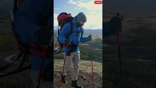 Unreal Nature Beauty in 4K 🌍 | Relaxing Cinematic Travel & Wildlife