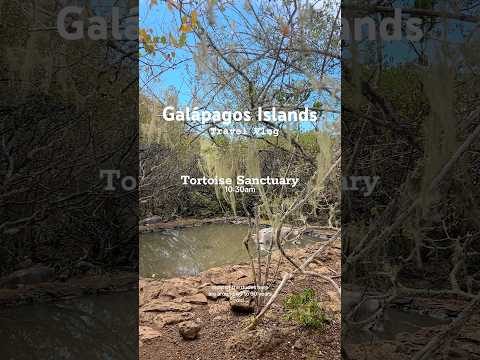 Galápagos Islands | Travel Vlog | #thingstodo #galapagosislands #galápagos #travelvlog #sightseeing