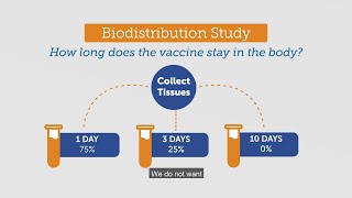 Vaccine IQ - Pre-Clinical Vaccine Development