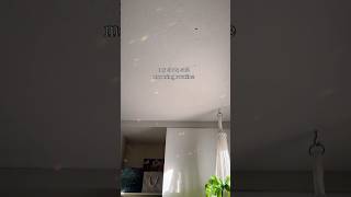 This is how I’m learning to love mornings. #morningroutine #mindfulmorning #calmstart #peacefulvlog