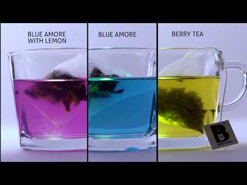 Exotic and Wellness Teas by BREWS&BLENDS
