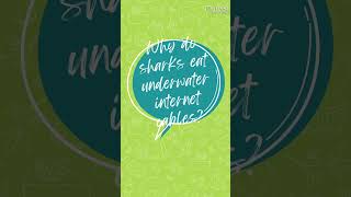 Cheesy Computer Jokes #13