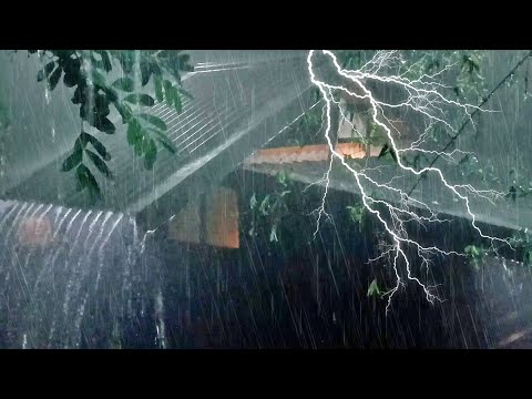 Goodbye Stress to Sleep Instantly with Heavy Rain 🌂 Thunder on Old Metal Roof in Rainforest at Night